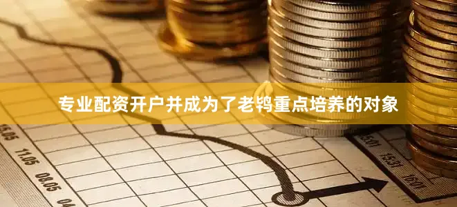 专业配资开户并成为了老鸨重点培养的对象