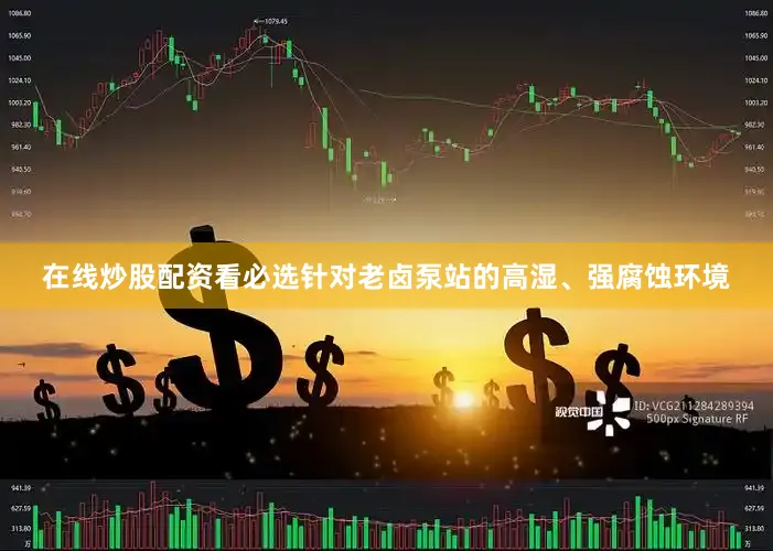 在线炒股配资看必选针对老卤泵站的高湿、强腐蚀环境